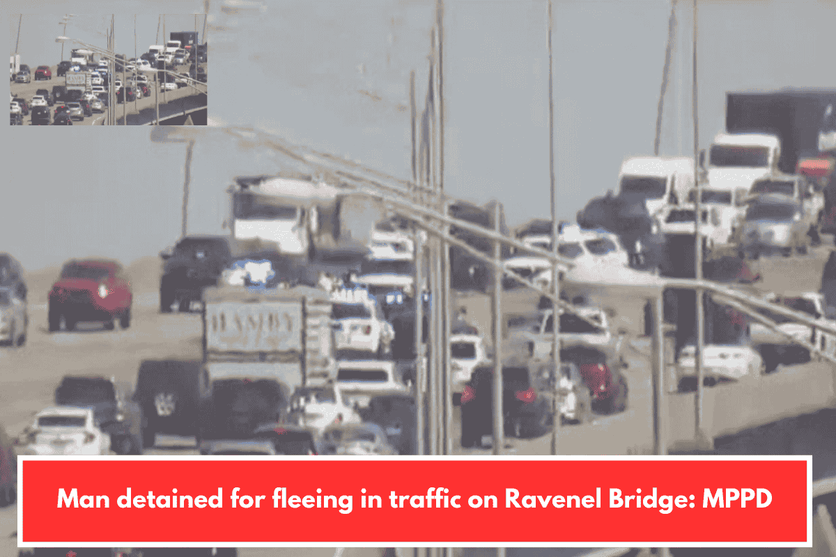 Man detained for fleeing in traffic on Ravenel Bridge: MPPD