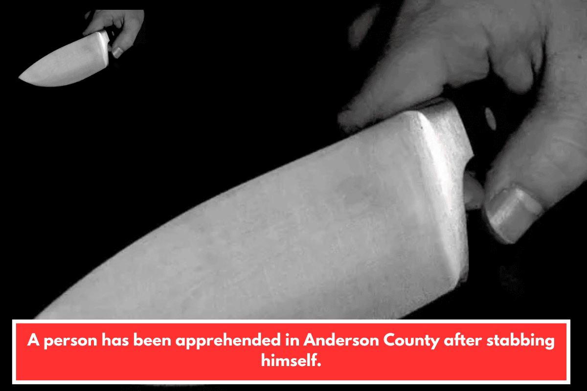 A person has been apprehended in Anderson County after stabbing himself.