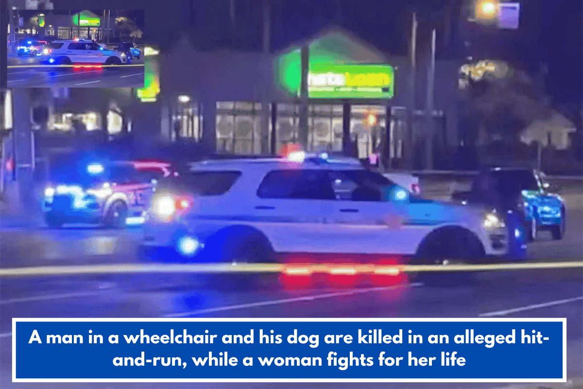 A man in a wheelchair and his dog are killed in an alleged hit-and-run, while a woman fights for her life