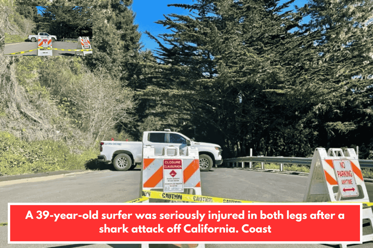 A 39-year-old surfer was seriously injured in both legs after a shark attack off California. Coast