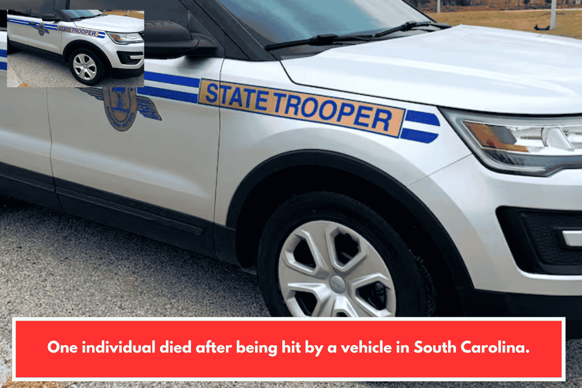 One individual died after being hit by a vehicle in South Carolina.