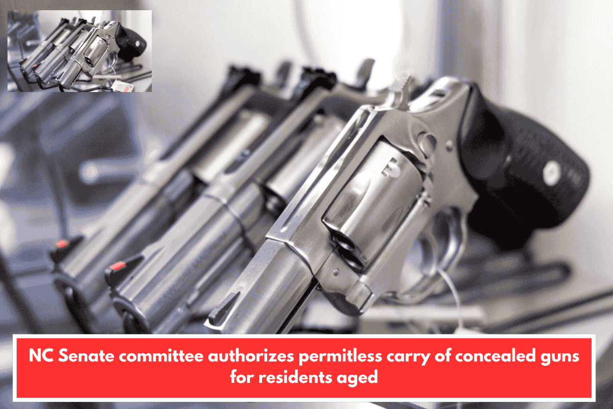 NC Senate committee authorizes permitless carry of concealed guns for residents aged