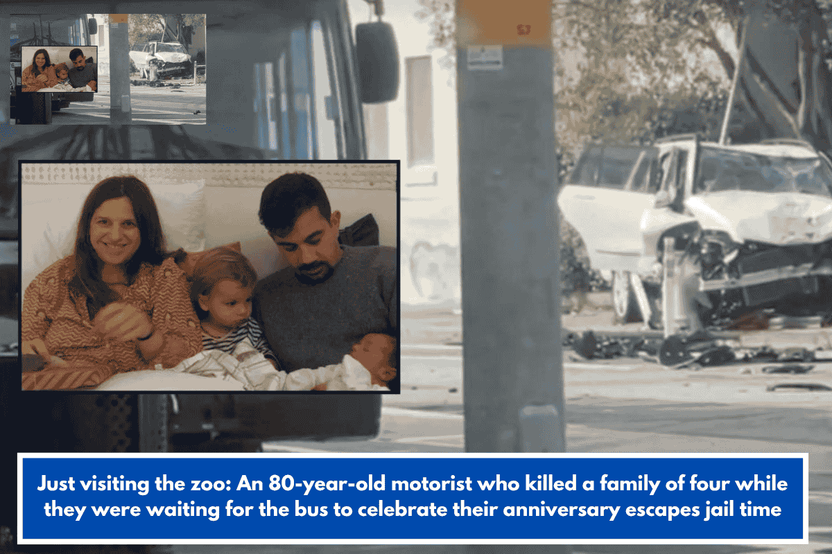 Just visiting the zoo: An 80-year-old motorist who killed a family of four while they were waiting for the bus to celebrate their anniversary escapes jail time