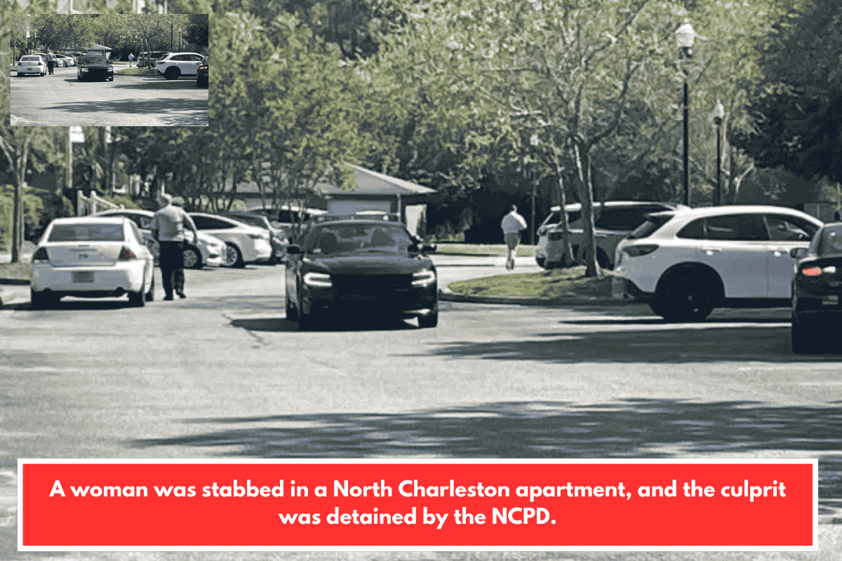 A woman was stabbed in a North Charleston apartment, and the culprit was detained by the NCPD.