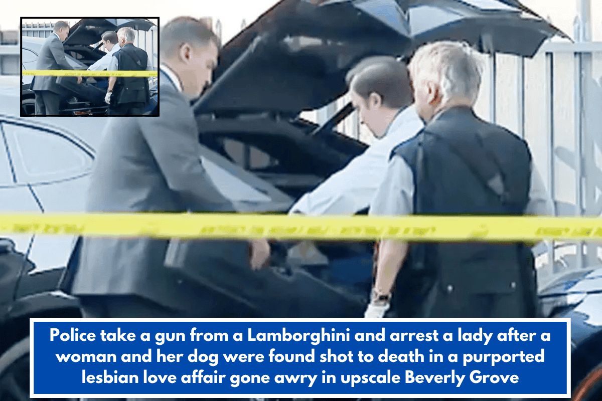 Police take a gun from a Lamborghini and arrest a lady after a woman and her dog were found shot to death in a purported lesbian love affair gone awry in upscale Beverly Grove