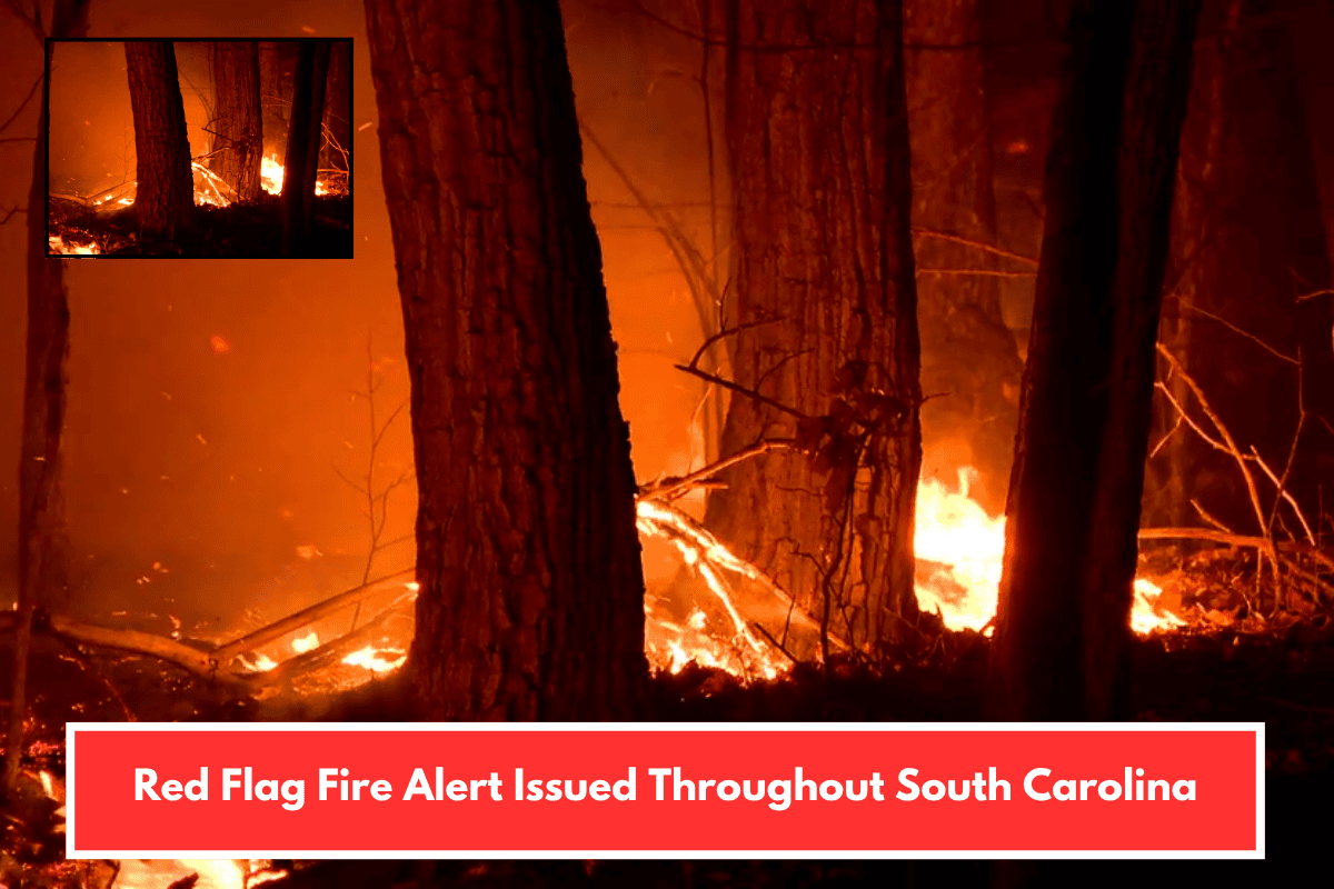 Red Flag Fire Alert Issued Throughout South Carolina