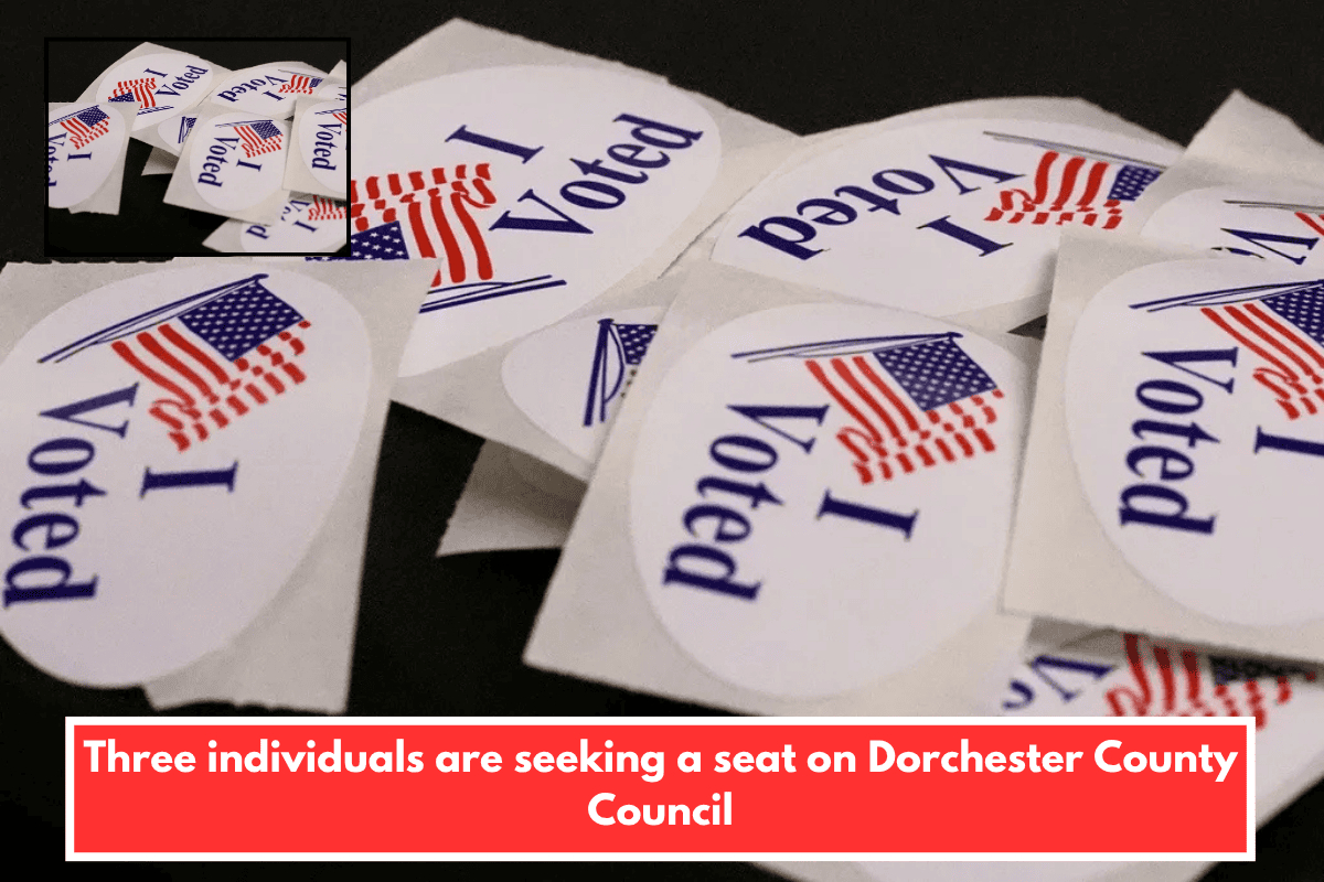 Three individuals are seeking a seat on Dorchester County Council