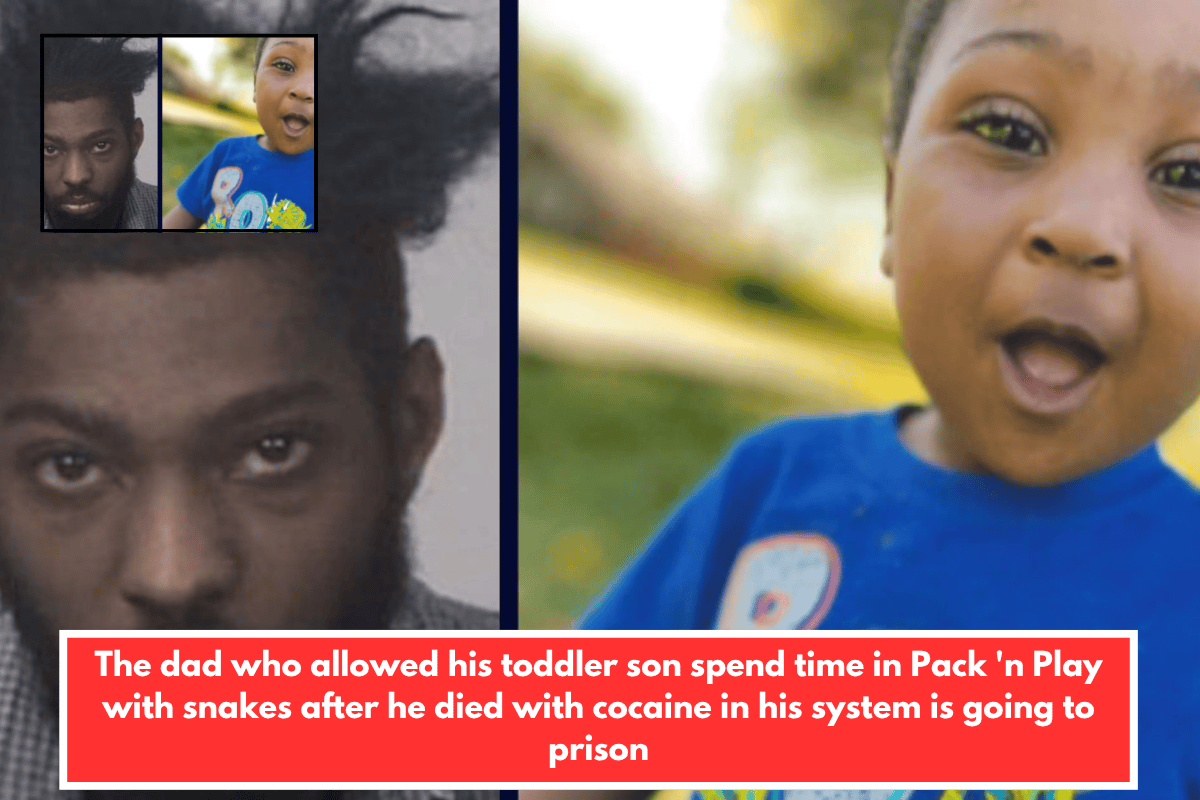The dad who allowed his toddler son spend time in Pack 'n Play with snakes after he died with cocaine in his system is going to prison