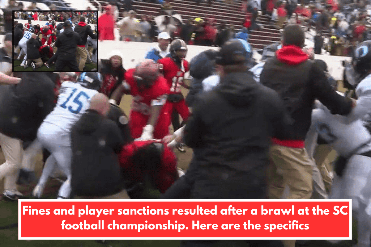 Fines and player sanctions resulted after a brawl at the SC football championship. Here are the specifics