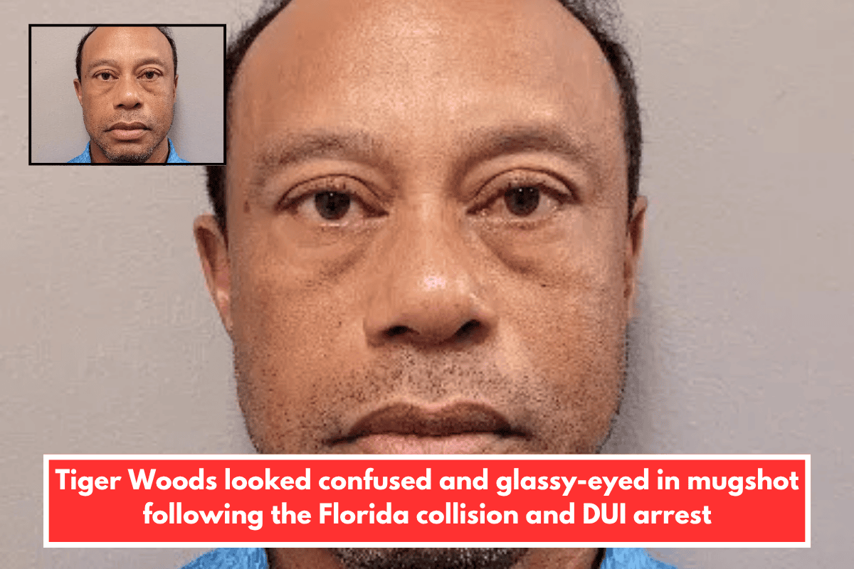 Tiger Woods looked confused and glassy-eyed in mugshot following the Florida collision and DUI arrest
