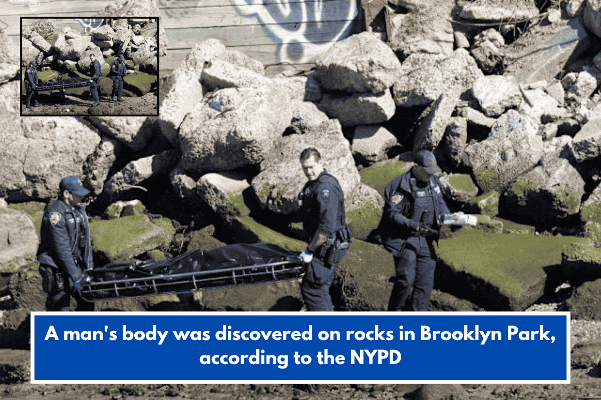 A man's body was discovered on rocks in Brooklyn Park, according to the NYPD