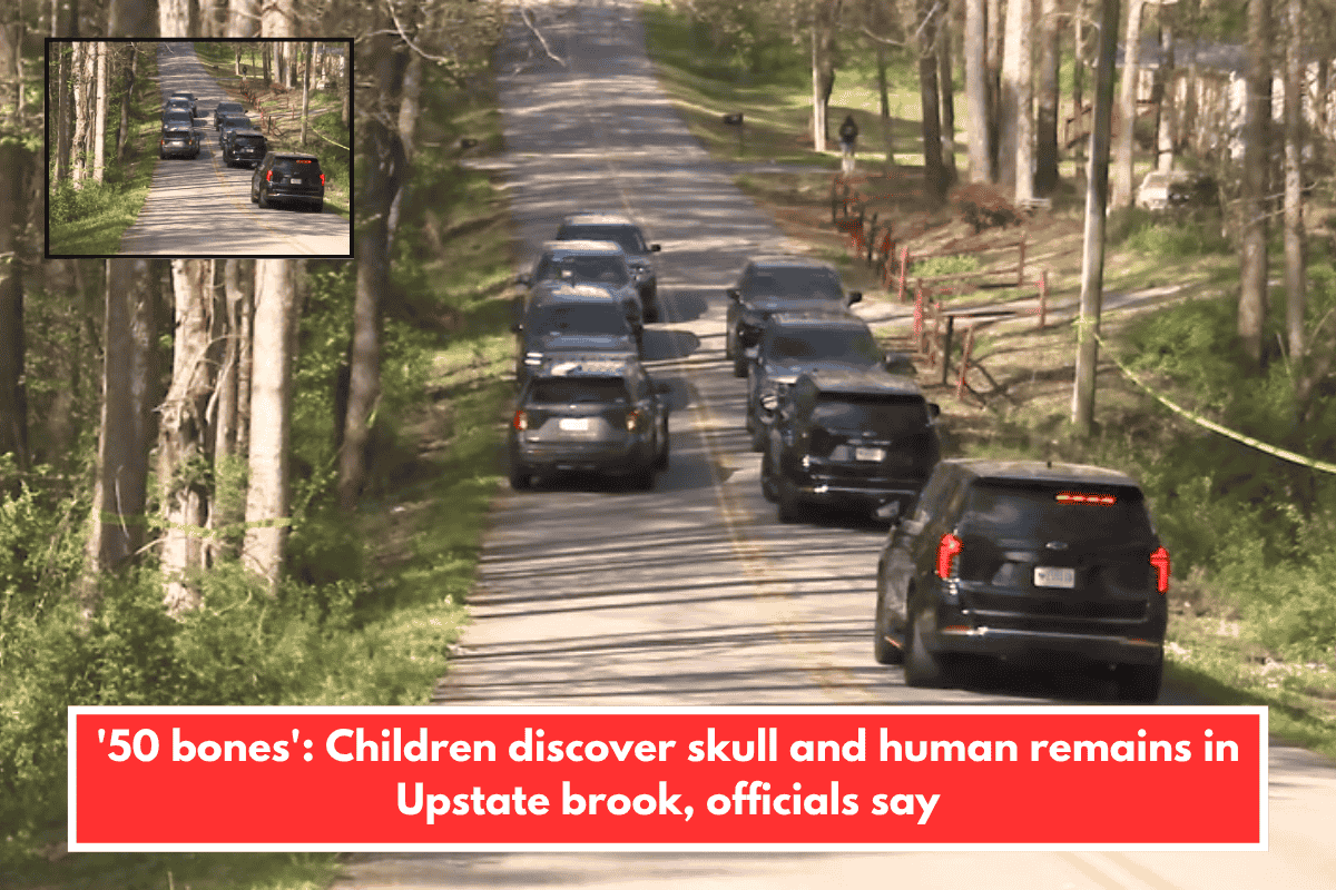 '50 bones': Children discover skull and human remains in Upstate brook, officials say