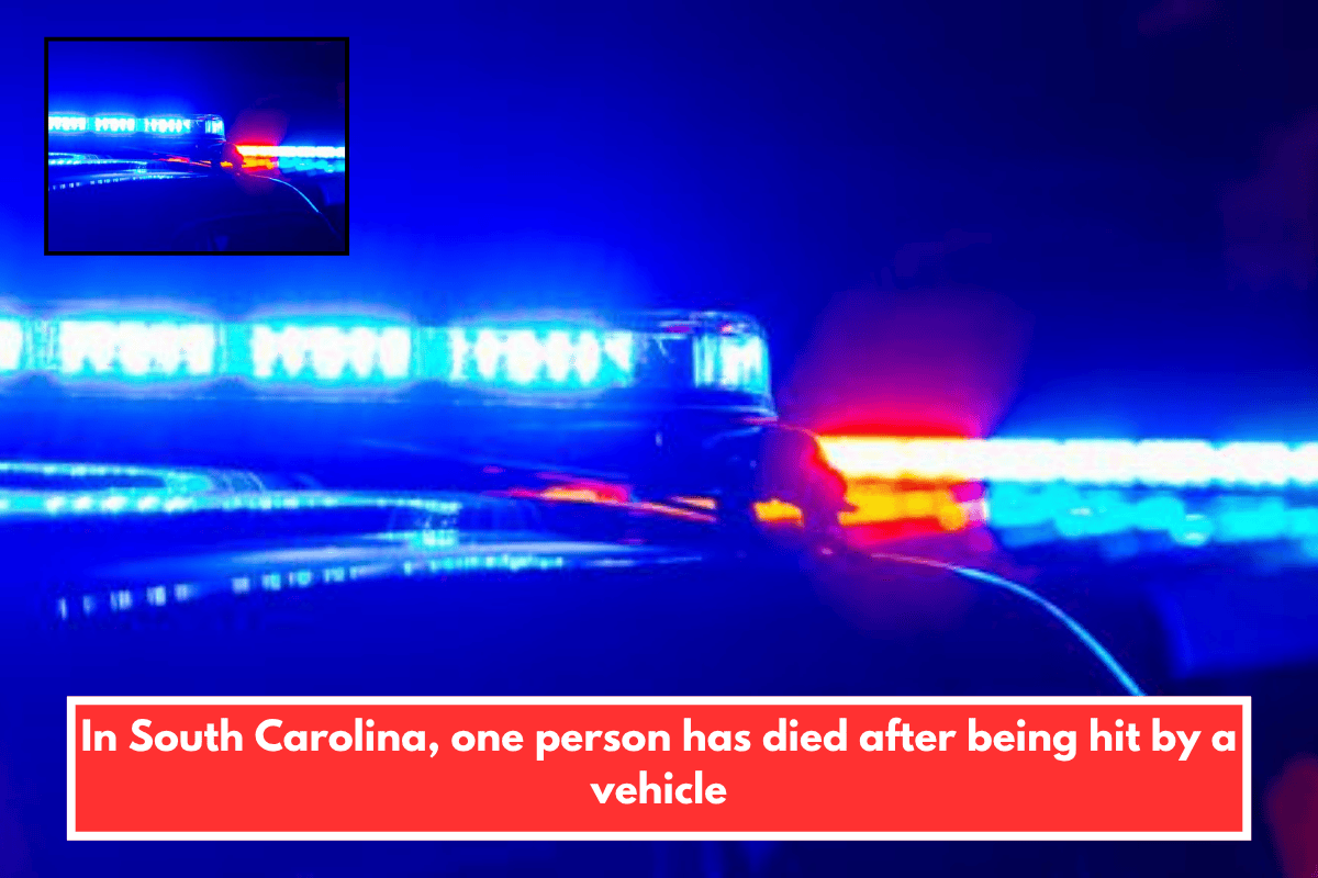 In South Carolina, one person has died after being hit by a vehicle