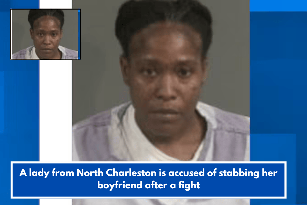 A lady from North Charleston is accused of stabbing her boyfriend after a fight