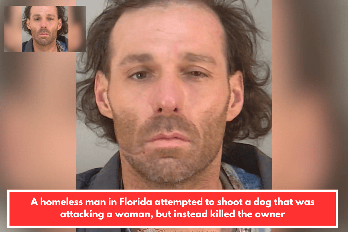 A homeless man in Florida attempted to shoot a dog that was attacking a woman, but instead killed the owner