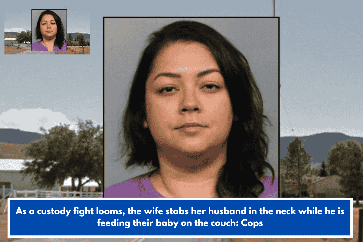 As a custody fight looms, the wife stabs her husband in the neck while he is feeding their baby on the couch: Cops