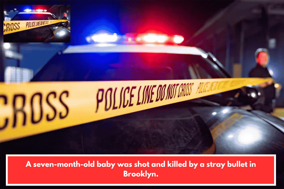 A seven-month-old baby was shot and killed by a stray bullet in Brooklyn.
