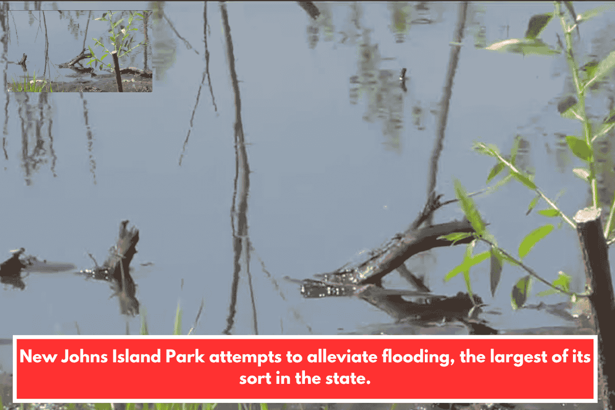 New Johns Island Park attempts to alleviate flooding, the largest of its sort in the state.