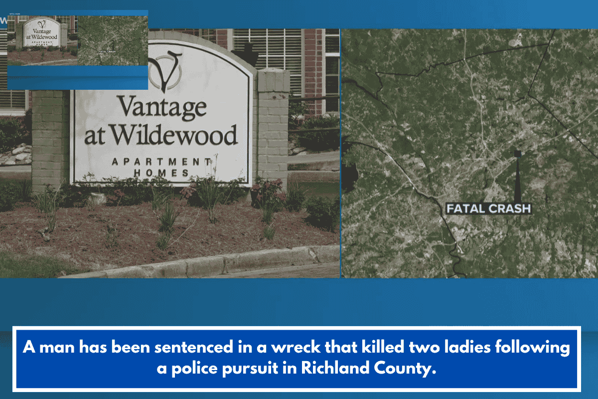 A man has been sentenced in a wreck that killed two ladies following a police pursuit in Richland County.