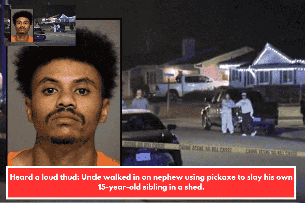 Heard a loud thud: Uncle walked in on nephew using pickaxe to slay his own 15-year-old sibling in a shed.