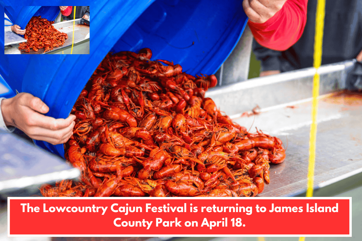 The Lowcountry Cajun Festival is returning to James Island County Park on April 18.