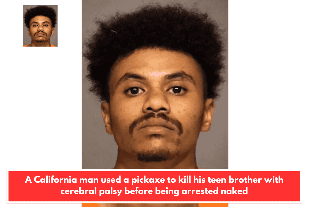 A California man used a pickaxe to kill his teen brother with cerebral palsy before being arrested naked