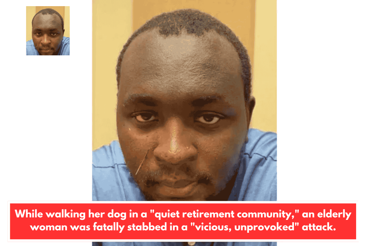 While walking her dog in a "quiet retirement community," an elderly woman was fatally stabbed in a "vicious, unprovoked" attack.