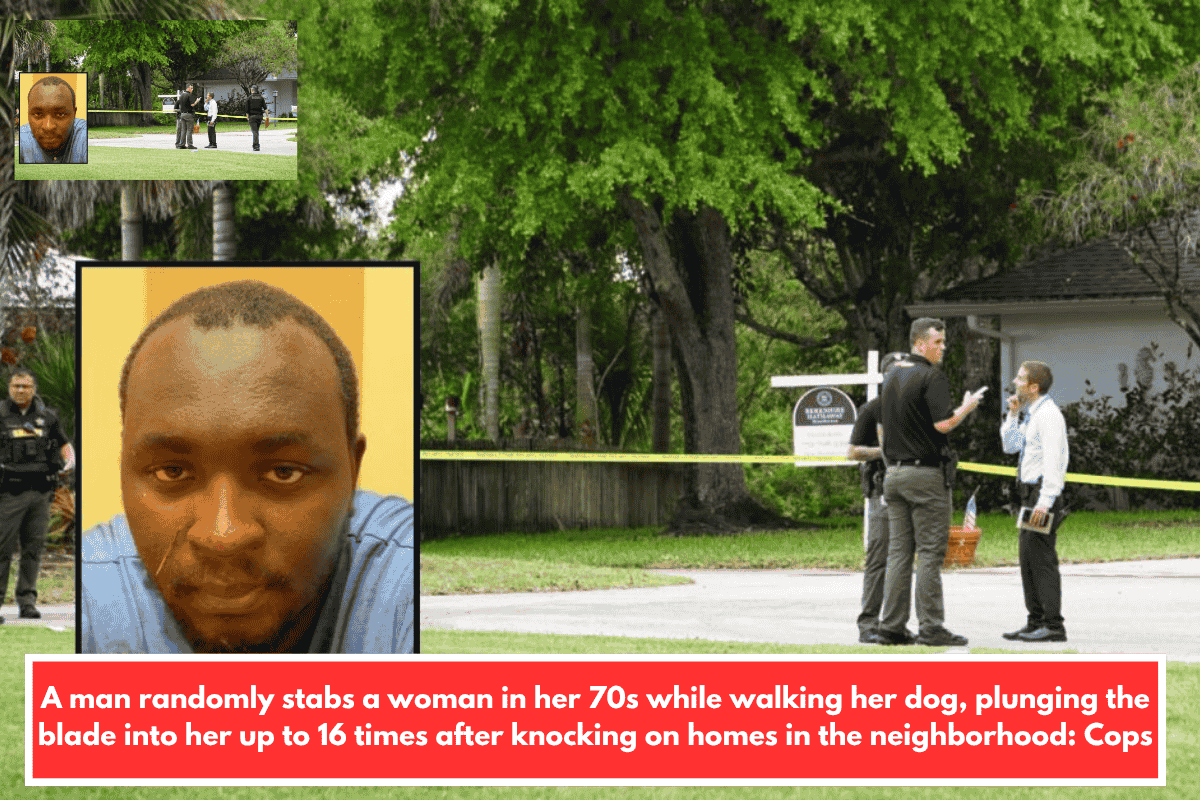 A man randomly stabs a woman in her 70s while walking her dog, plunging the blade into her up to 16 times after knocking on homes in the neighborhood: Cops