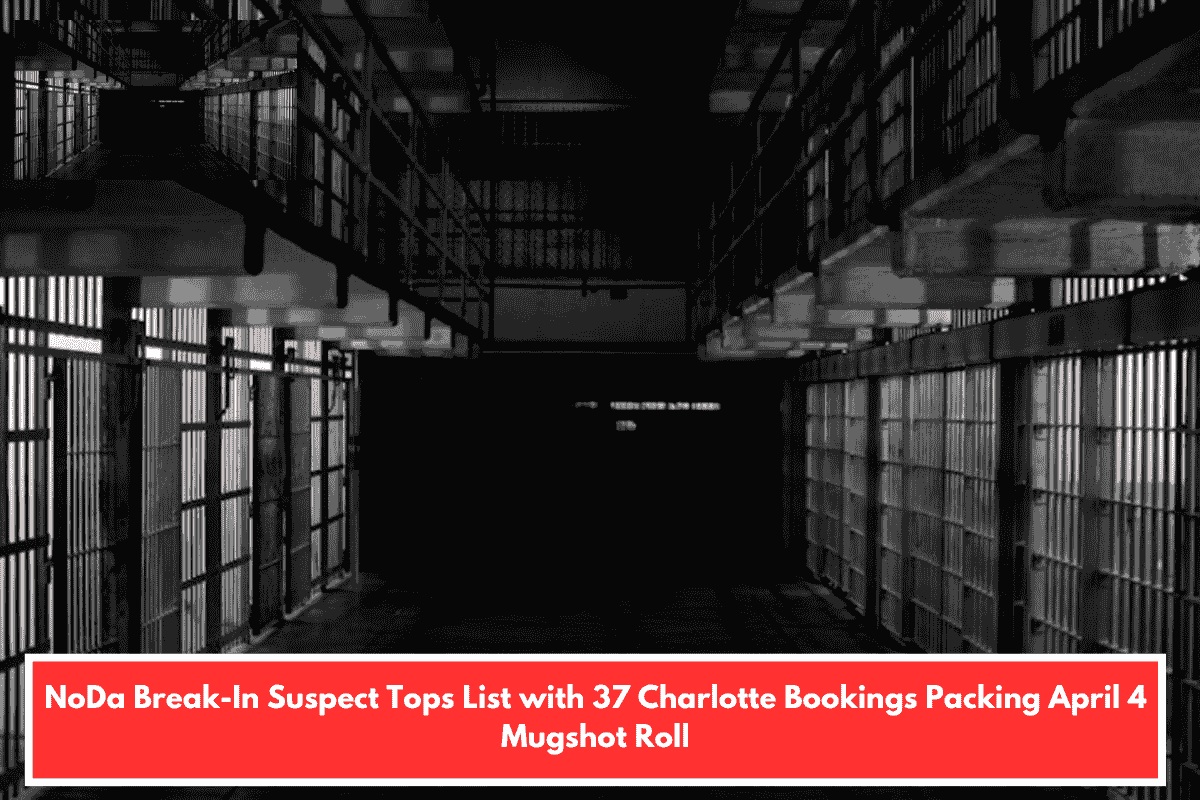 NoDa Break-In Suspect Tops List with 37 Charlotte Bookings Packing April 4 Mugshot Roll
