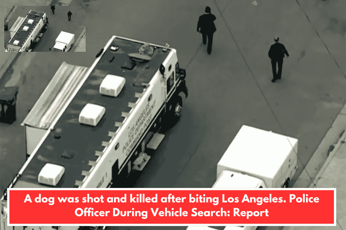 A dog was shot and killed after biting Los Angeles. Police Officer During Vehicle Search: Report