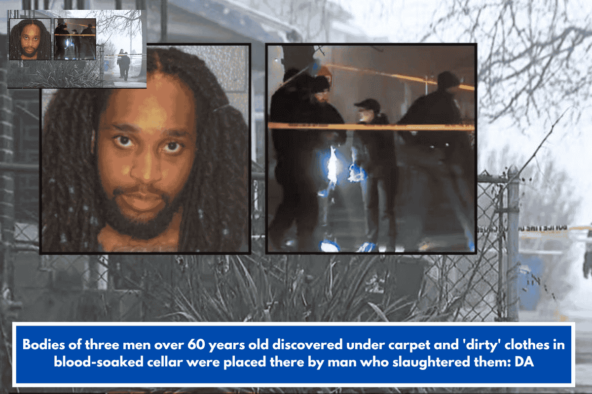 Bodies of three men over 60 years old discovered under carpet and 'dirty' clothes in blood-soaked cellar were placed there by man who slaughtered them: DA