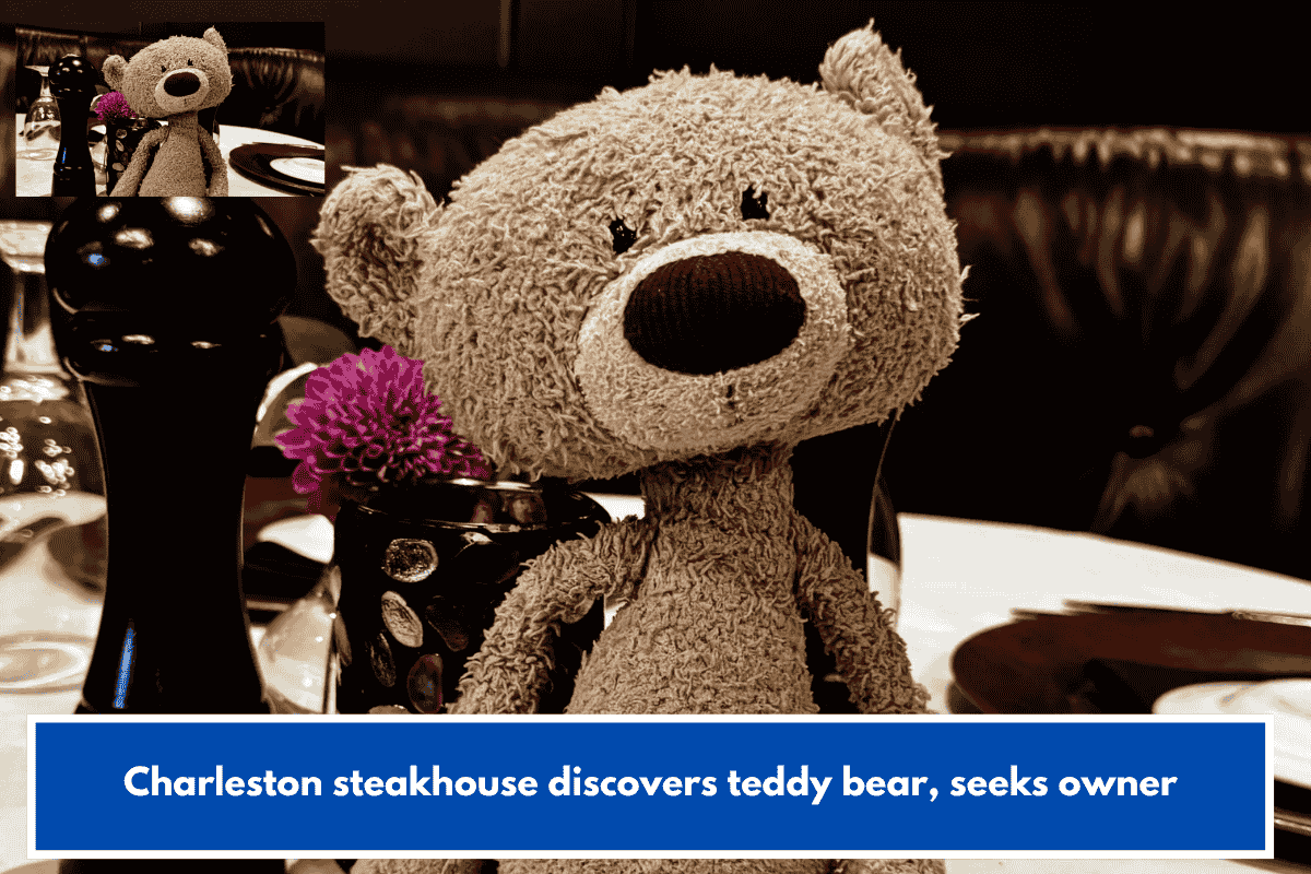 Charleston steakhouse discovers teddy bear, seeks owner