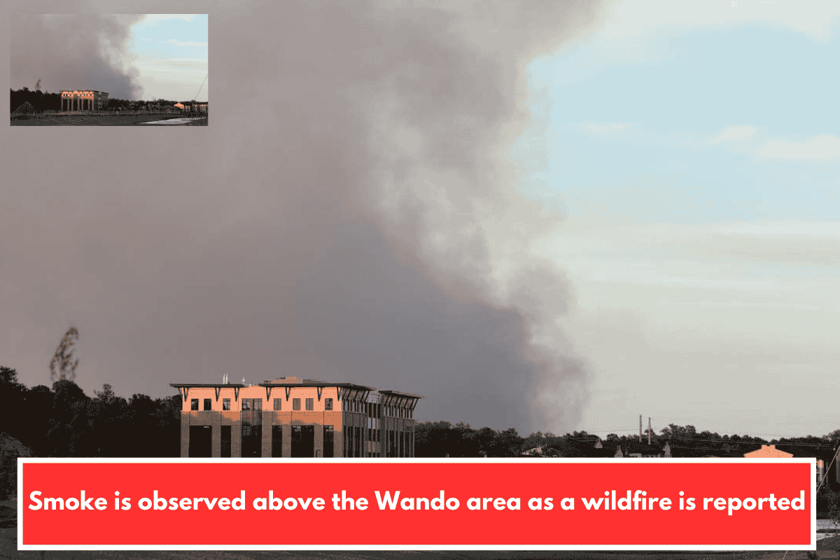 Smoke is observed above the Wando area as a wildfire is reported