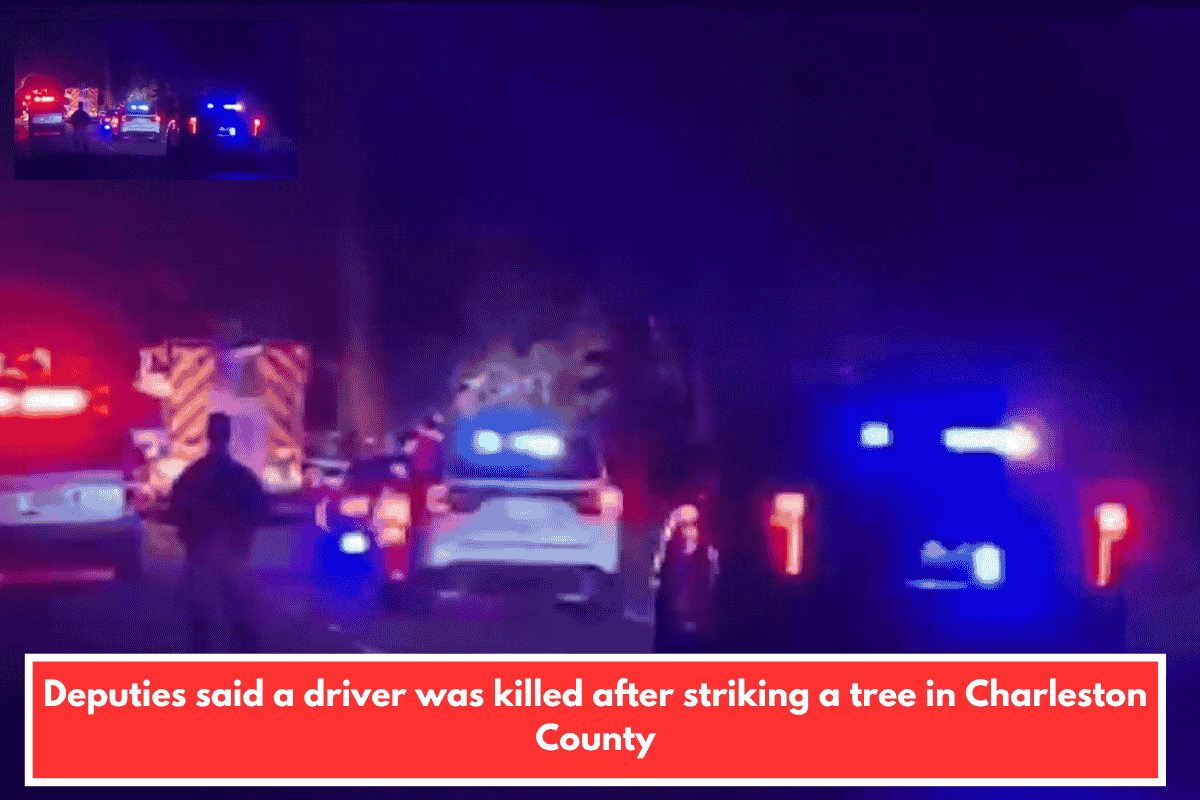 Deputies said a driver was killed after striking a tree in Charleston County