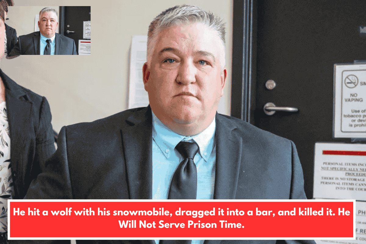 He hit a wolf with his snowmobile, dragged it into a bar, and killed it. He Will Not Serve Prison Time.