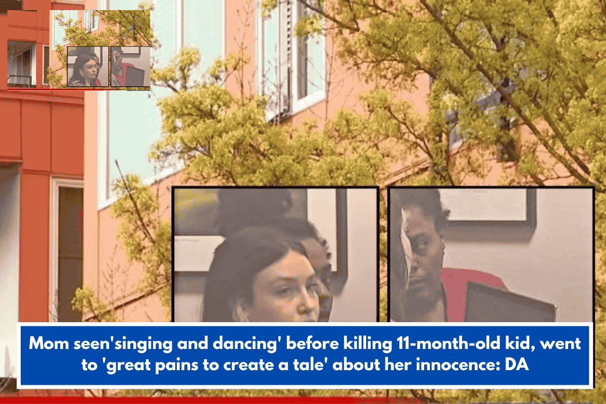 Mom seen'singing and dancing' before killing 11-month-old kid, went to 'great pains to create a tale' about her innocence: DA