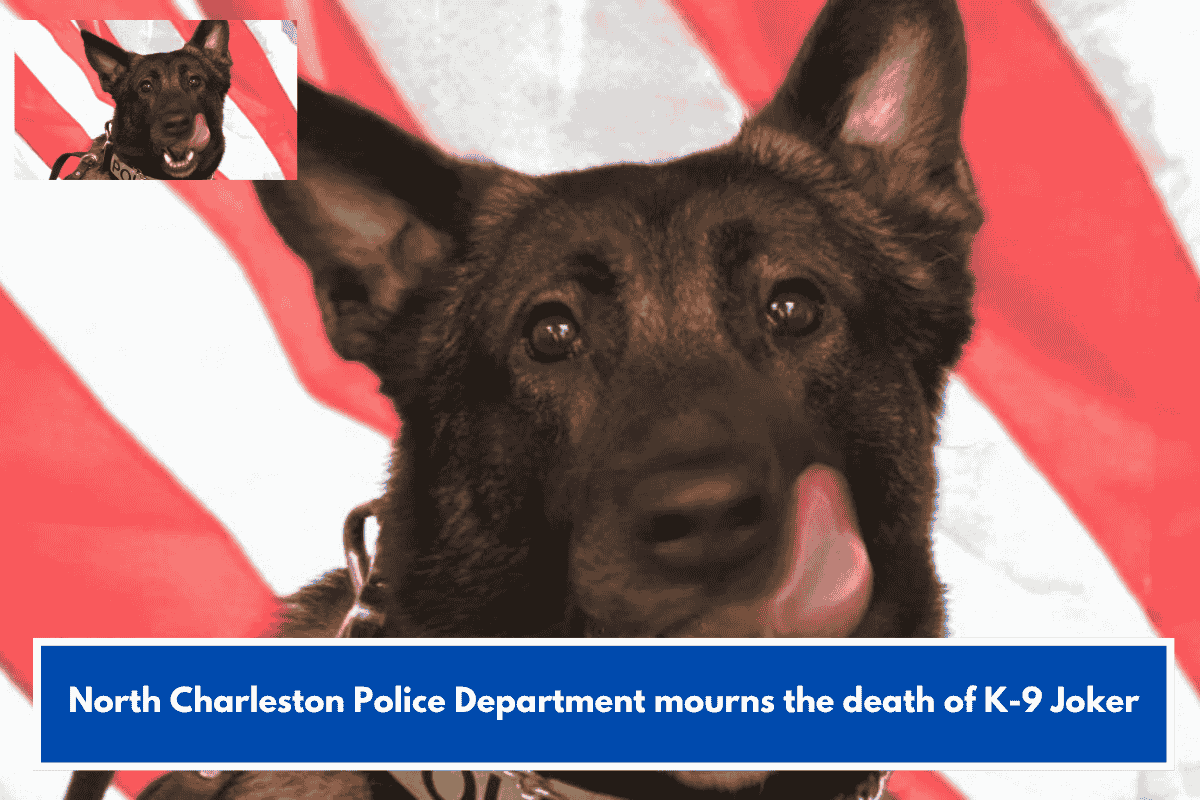 North Charleston Police Department mourns the death of K-9 Joker