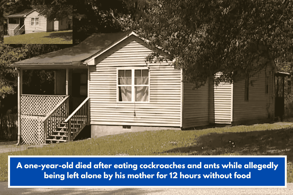 A one-year-old died after eating cockroaches and ants while allegedly being left alone by his mother for 12 hours without food
