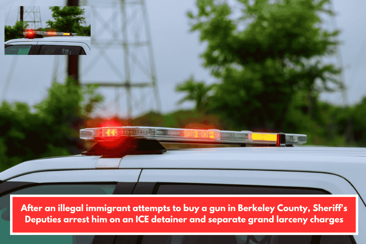 After an illegal immigrant attempts to buy a gun in Berkeley County, Sheriff's Deputies arrest him on an ICE detainer and separate grand larceny charges