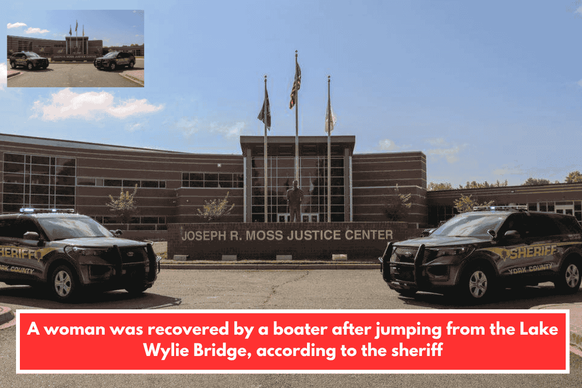 A woman was recovered by a boater after jumping from the Lake Wylie Bridge, according to the sheriff