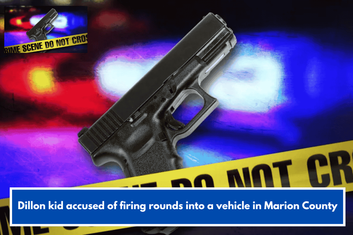 Dillon kid accused of firing rounds into a vehicle in Marion County