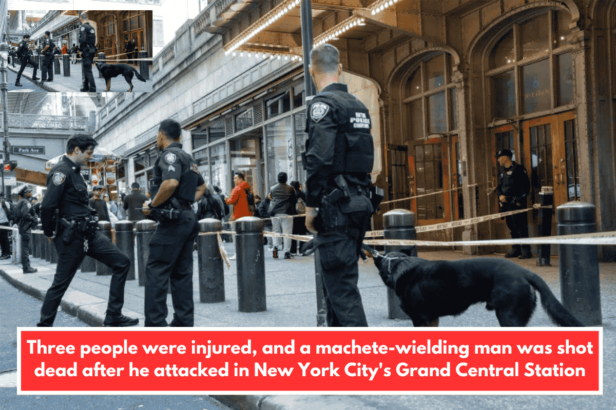 Three people were injured, and a machete-wielding man was shot dead after he attacked in New York City's Grand Central Station