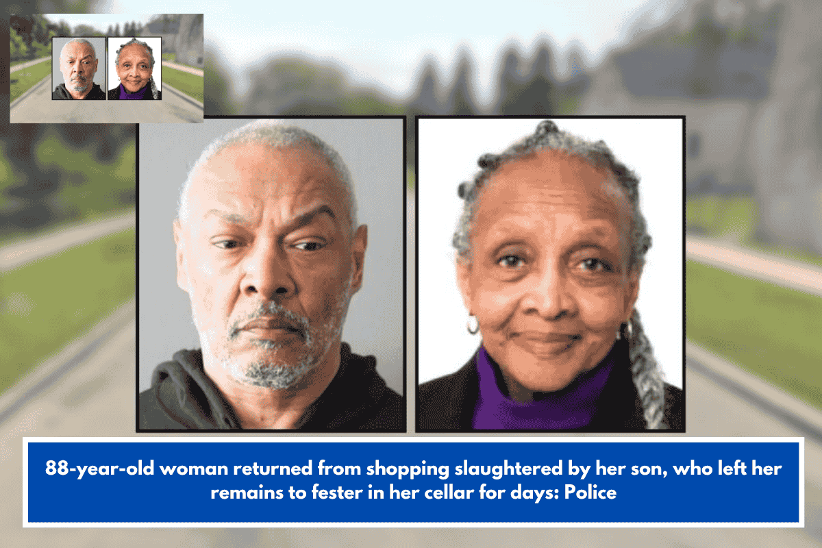 88-year-old woman returned from shopping slaughtered by her son, who left her remains to fester in her cellar for days: Police