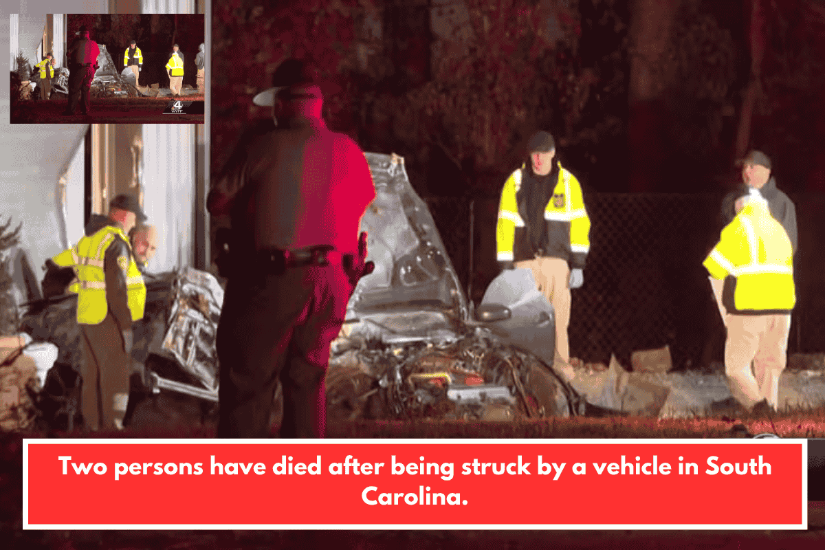 Two persons have died after being struck by a vehicle in South Carolina.