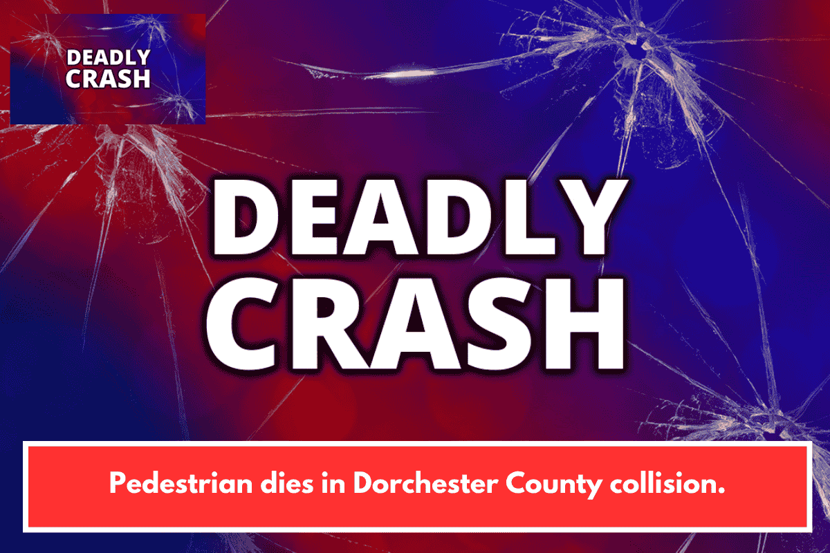 Pedestrian dies in Dorchester County collision.