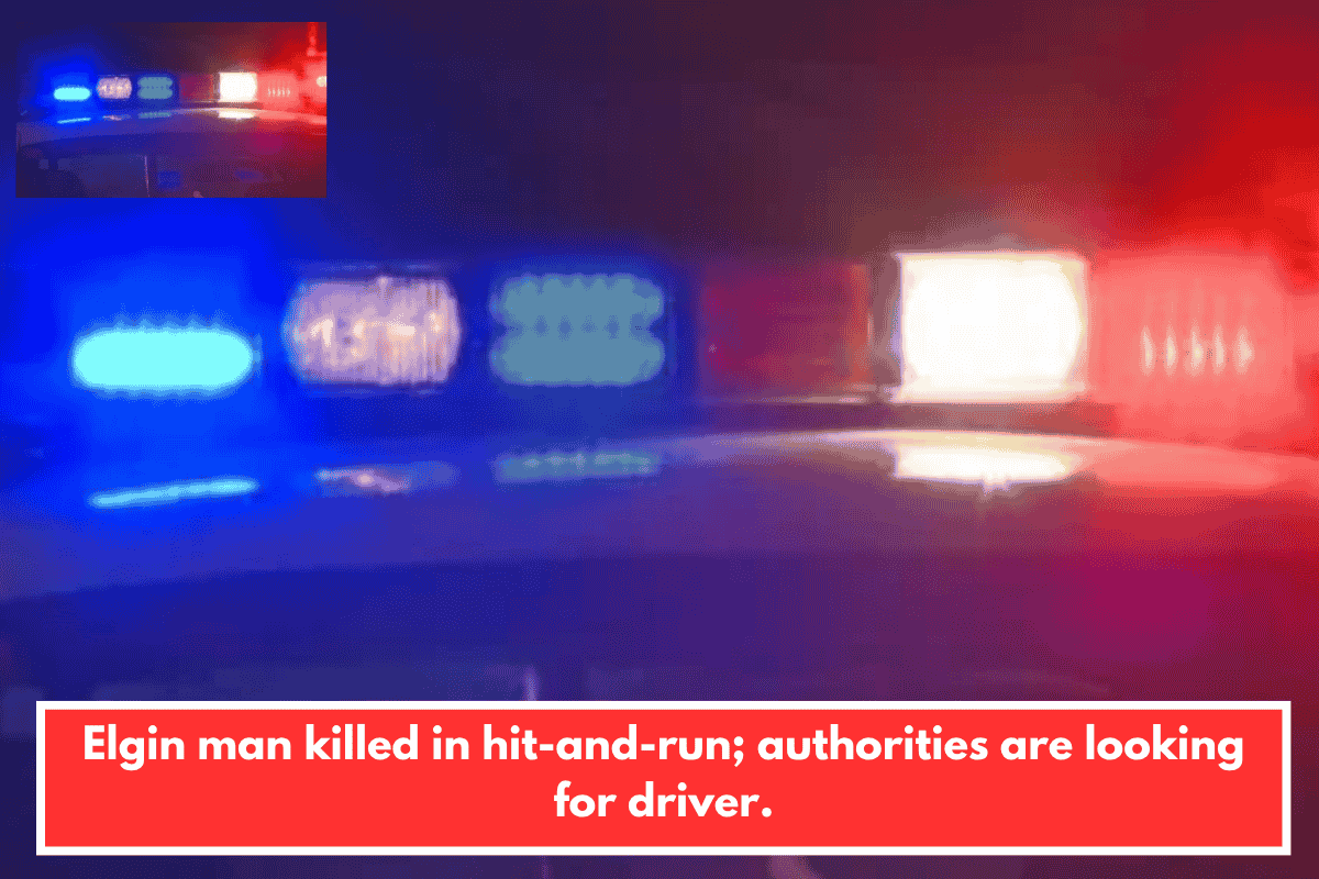 Elgin man killed in hit-and-run; authorities are looking for driver.