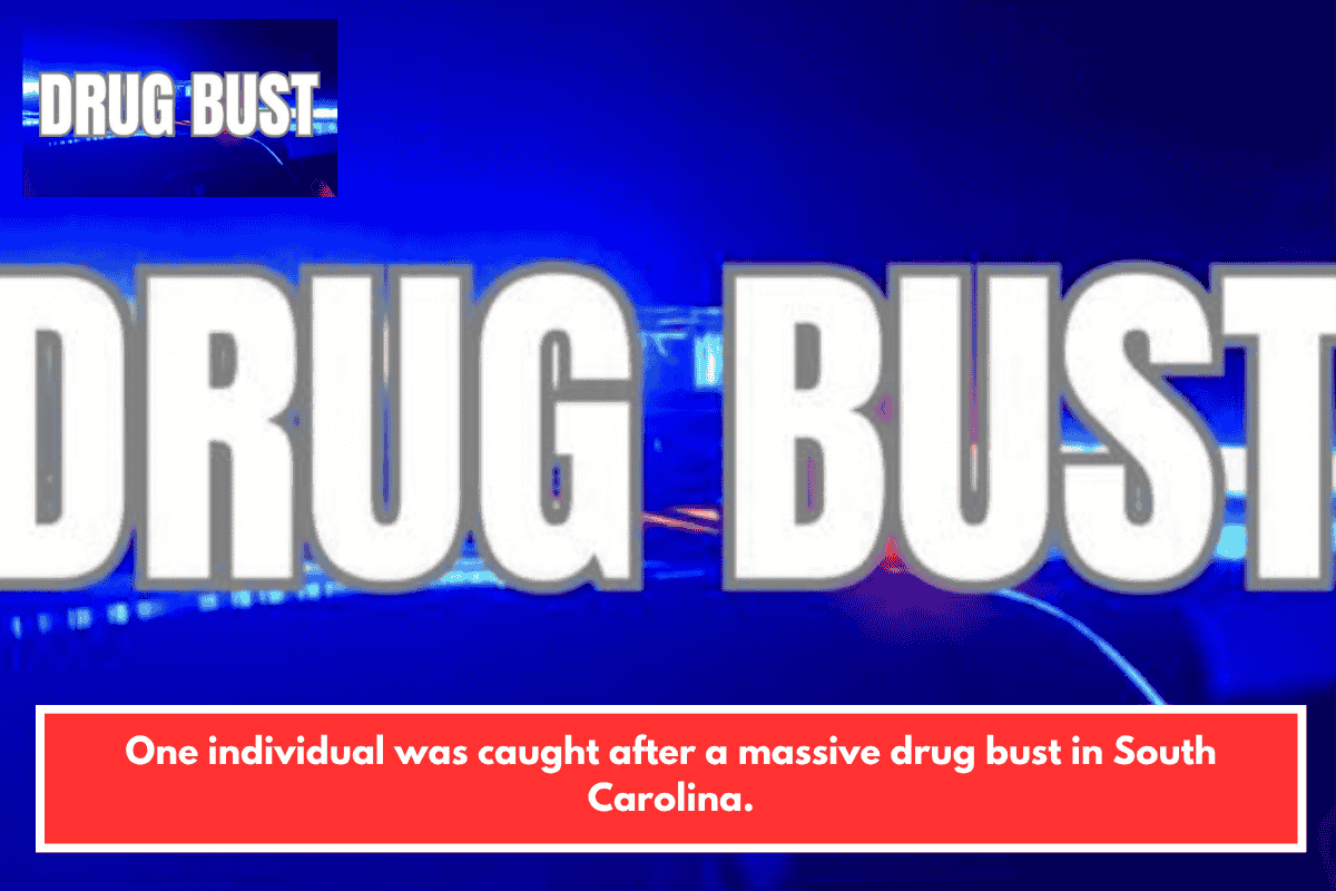 One individual was caught after a massive drug bust in South Carolina.