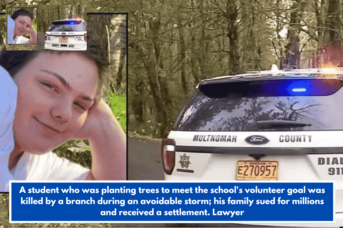 A student who was planting trees to meet the school's volunteer goal was killed by a branch during an avoidable storm; his family sued for millions and received a settlement. Lawyer