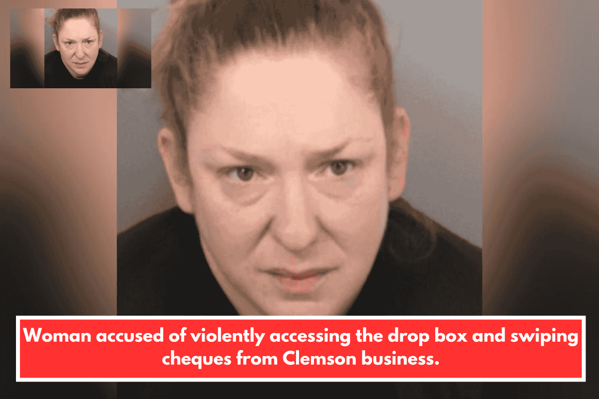 Woman accused of violently accessing the drop box and swiping cheques from Clemson business.
