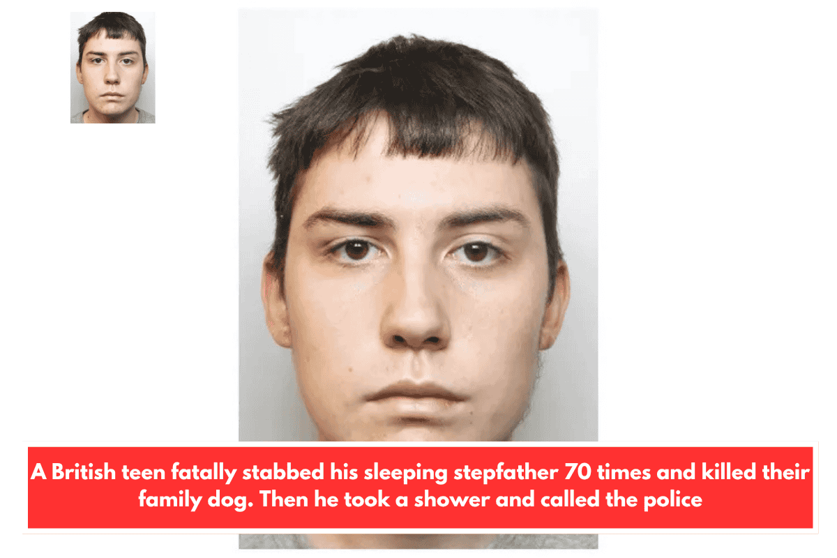 A British teen fatally stabbed his sleeping stepfather 70 times and killed their family dog. Then he took a shower and called the police